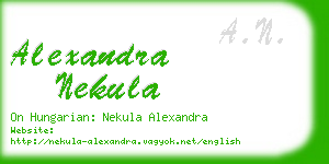 alexandra nekula business card